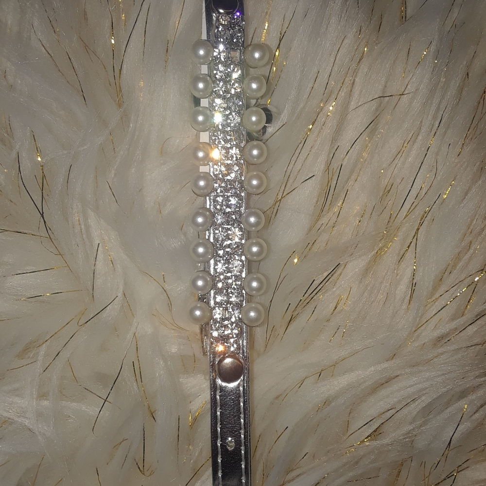 Glam Cat collar or  small dog